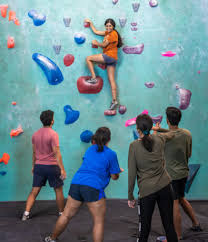 Group of People Rock Climbing